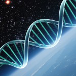 The Twin Heroes Series