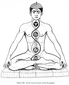 Kundalini, Channels & Chakras